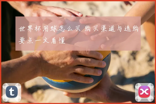 世界杯用球怎么买 购买渠道与选购要点一文看懂