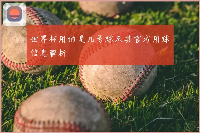 世界杯用的是几号球及其官方用球信息解析