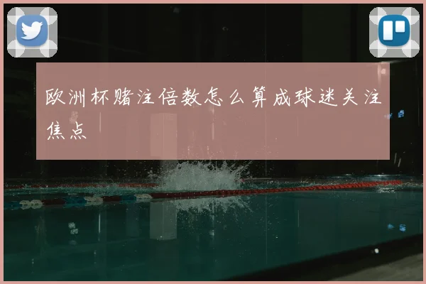 欧洲杯赌注倍数怎么算成球迷关注焦点