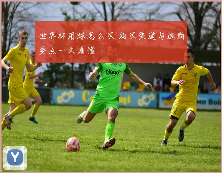 世界杯用球怎么买 购买渠道与选购要点一文看懂