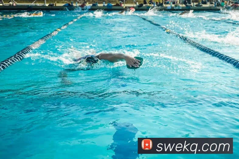 开运体育官网登录品牌故事